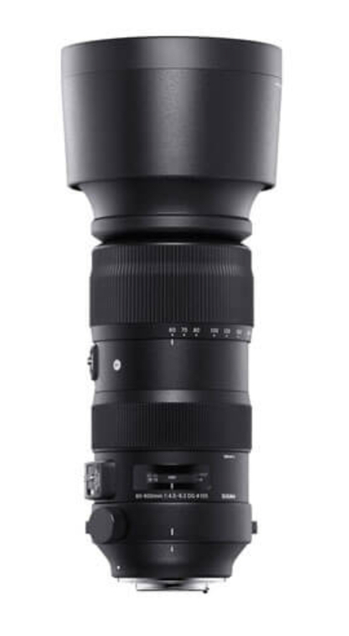Sigma 60-600mm f/4.5-6.3 DG OS HSM Sports Zoom Camera Lens