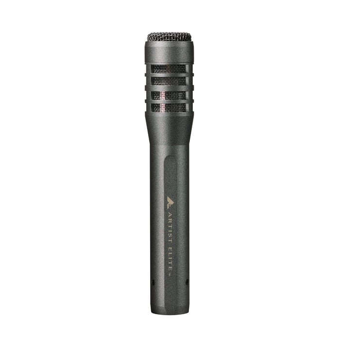 Audio-Technica AE5100 Large-Diaphragm Cardioid Condenser Instrument Microphone