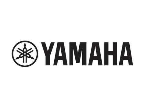 Yamaha Recording Custom Bass Drum 22"x18" 6-Ply Birch Shell Bass Drum
