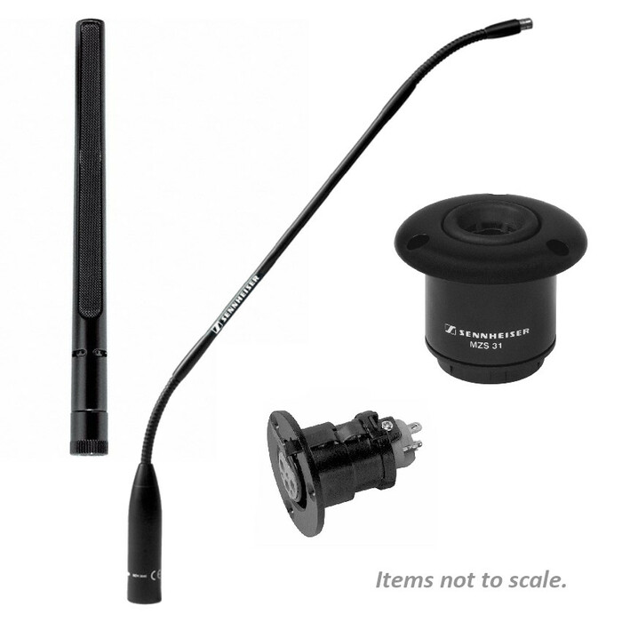 Sennheiser I 42-L IS Series Gooseneck Mic Package, Mini Shotgun