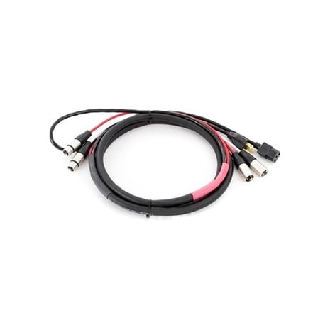 Pro Co EC2-10 Cable, Edi/XF/XF-IEC/XM/Xm,10`