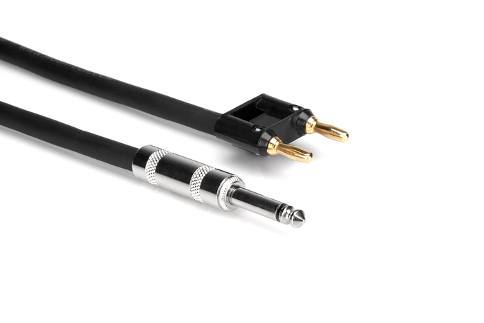 Hosa SKJ-603BN 3' 1/4" TS To Dual Banana Speaker Cable