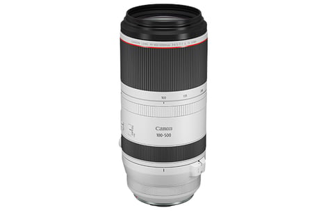 Canon RF 100-500mm f/4.5-7.1L IS Super Telephoto USM Lens