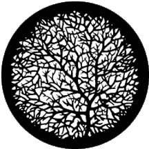 Rosco 77777 Steel Gobo, Bare Branches 2