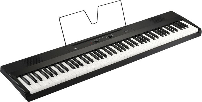 Korg L1 Liano 88-Key Digital Piano With Audio And MIDI USB, Black