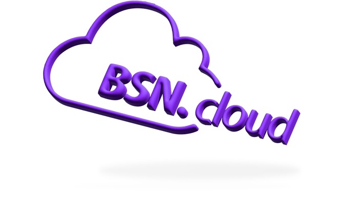 BrightSign BSNCSUB-12-SB BSN.cloud - Subscription License