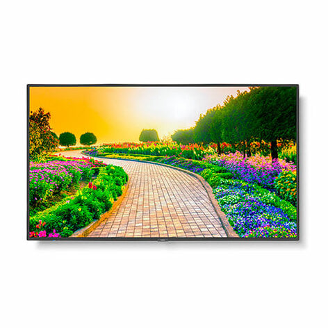 NEC M431 MultiSync 43" Class HDR 4K UHD Commercial IPS LED Display