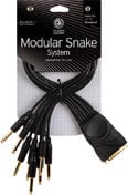 D`Addario PW-TRSB-01 Modular Snake Cable (8 Channel 1/4" TRS Breakout To DB25 Connector)