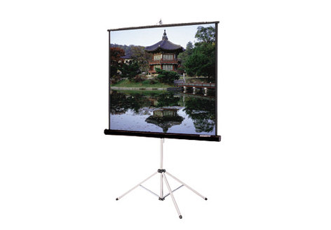 Da-Lite 40141 84" X 84" Picture King Matte White Tripod Screen