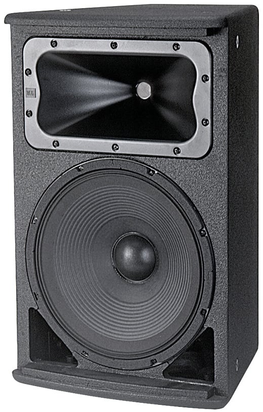 speaker 12 inch low