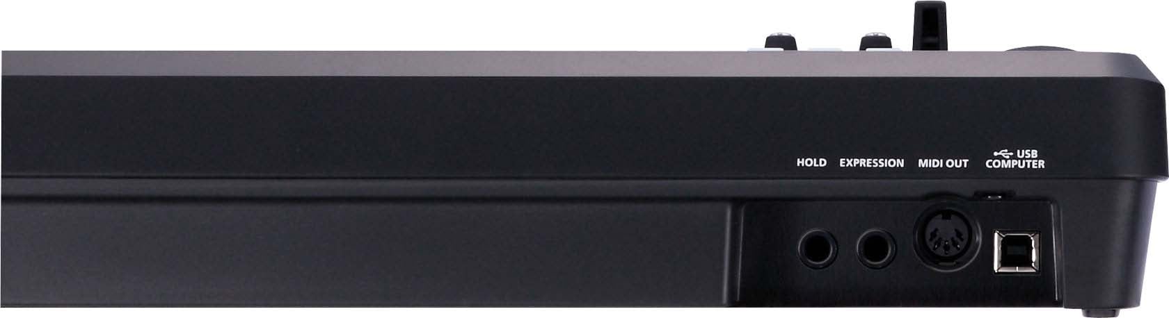 Roland A-49 Midi Keyboard Controller - Black 49-Key MIDI Keyboard ...