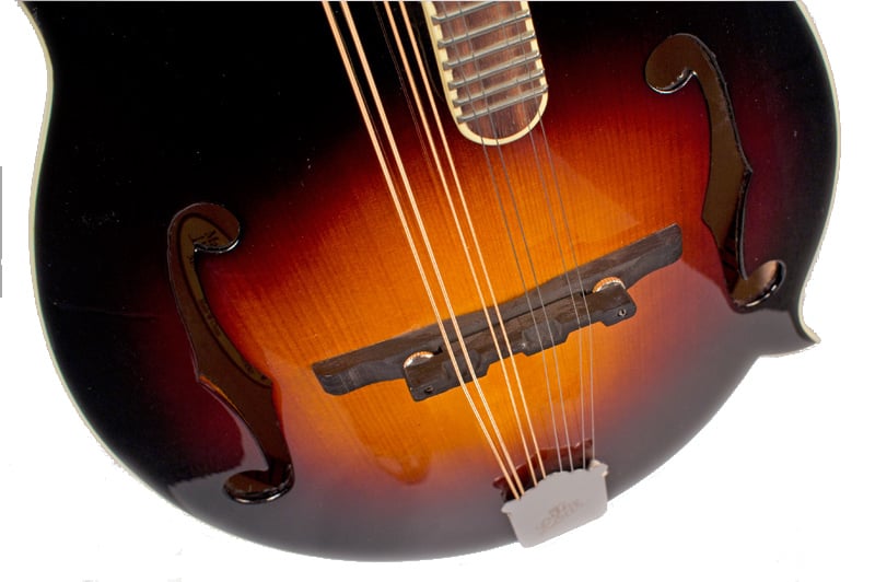 The Loar LM520VS F Style Mandolin | Reverb