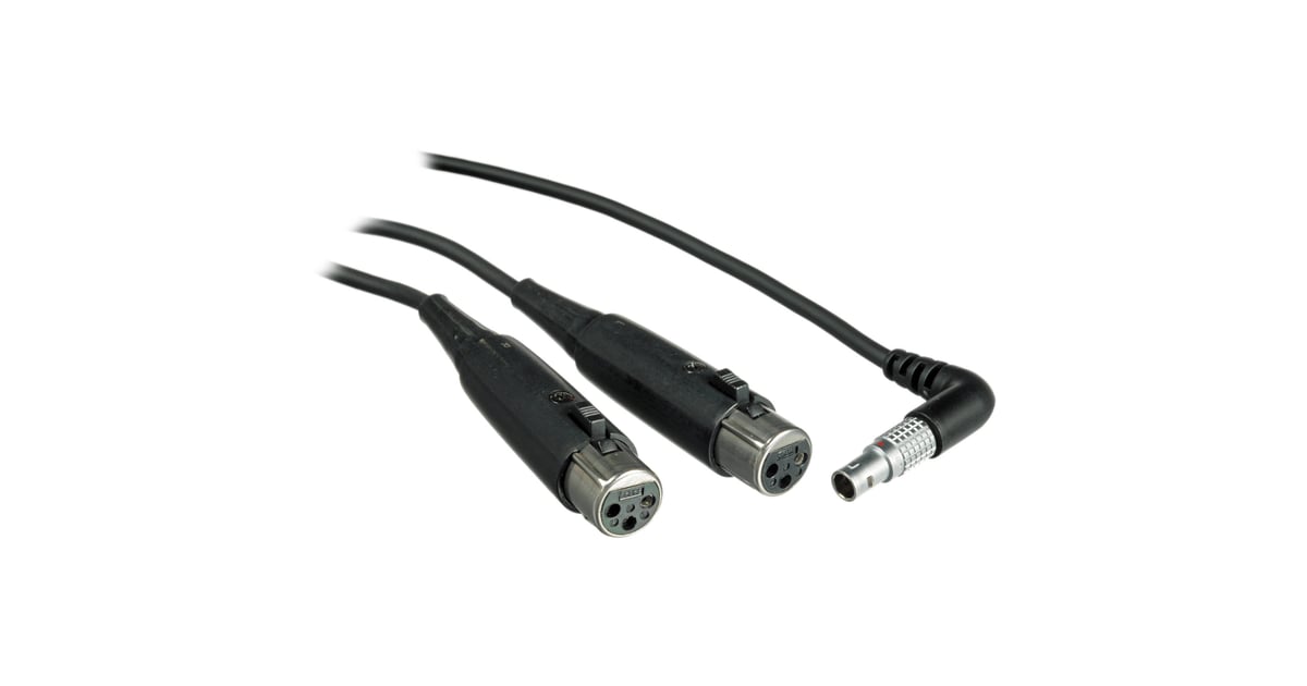 capacidad posición ladrón Shure PA720 10' Replacement Input Cable For P6HW Beltpack Monitor | Full  Compass Systems