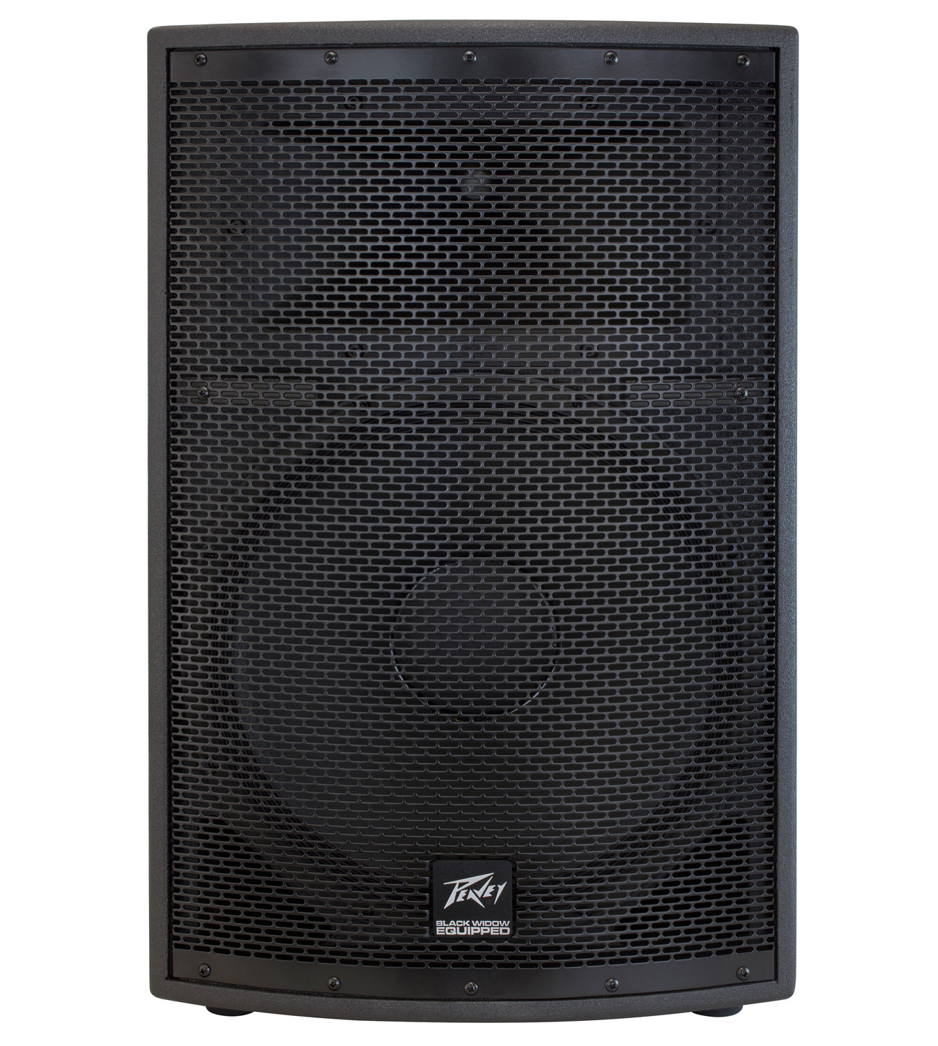 p audio 1000w speaker price