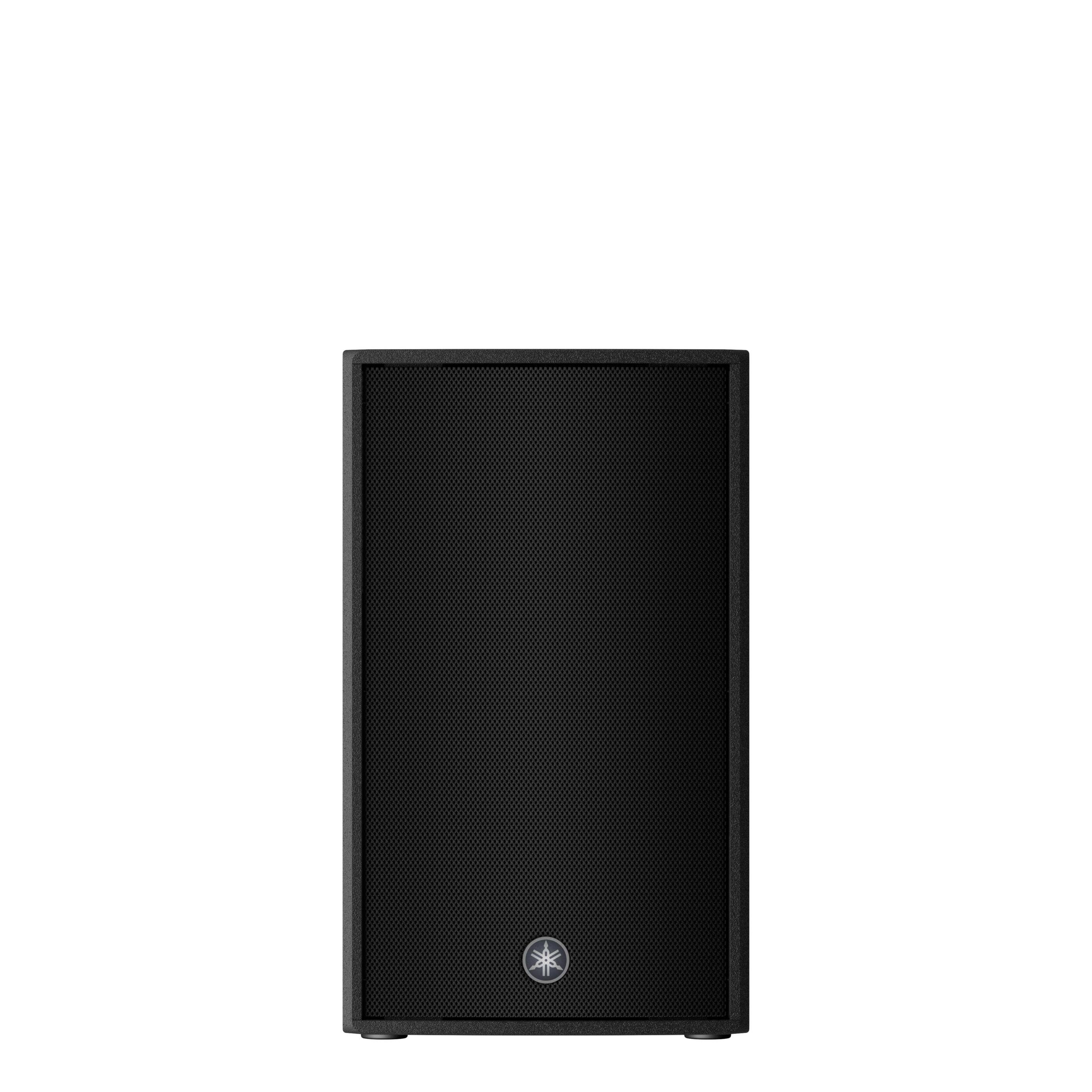 10 passive speaker