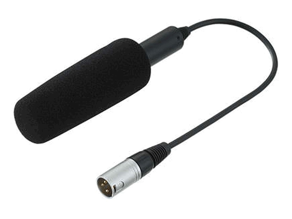 暮らしに便利なアイテム Panasonic AGMC200G Microphone Powered Phantom Unidirectional その他