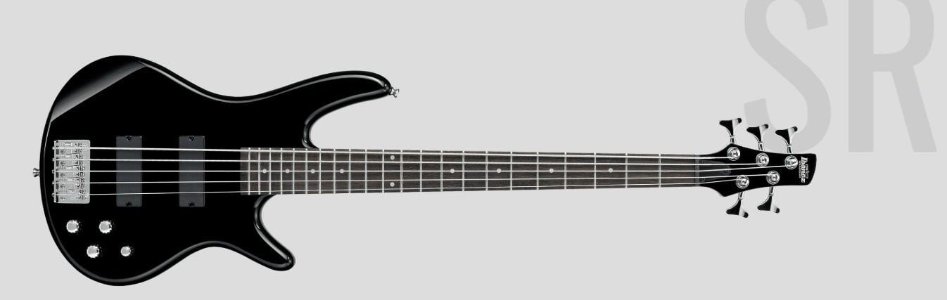 Ibanez GSR205BWNF Walnut Flat Gio Series 5-String Electric Bass for sale