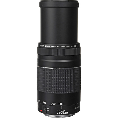 | Telephoto Systems Canon Zoom III Lens Compass Full EF 75-300mm f/4-5.6
