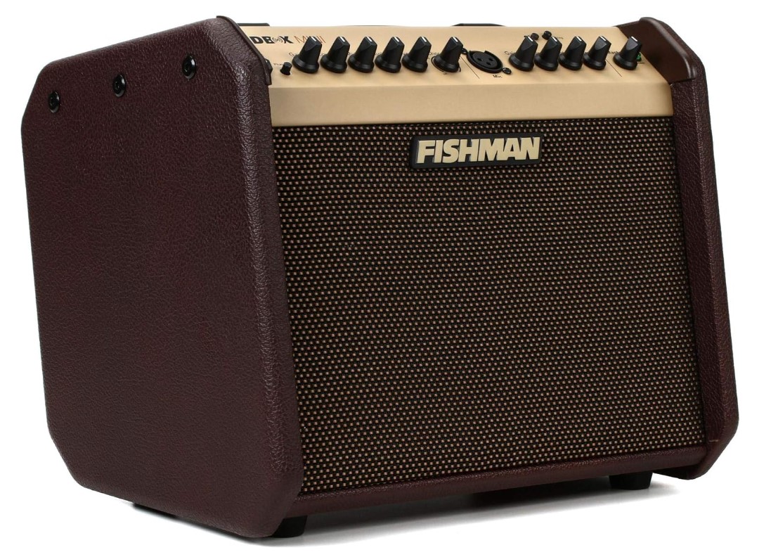 Fishman Loudbox Mini 60W Acoustic Guitar Amplifier for sale