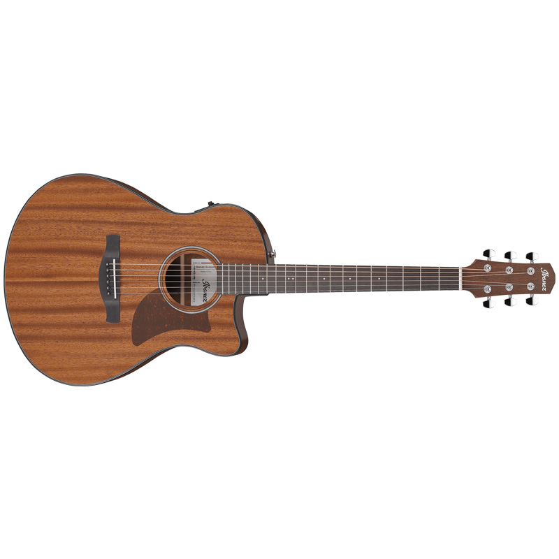 Ibanez AAM54CE Advanced Auditorium Acoustic-electric Guitar - Open Pore Natural for sale