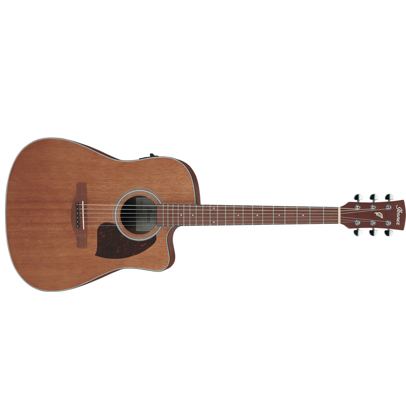 Ibanez PF54CE Acoustic-electric Guitar - Open Pore Natural for sale