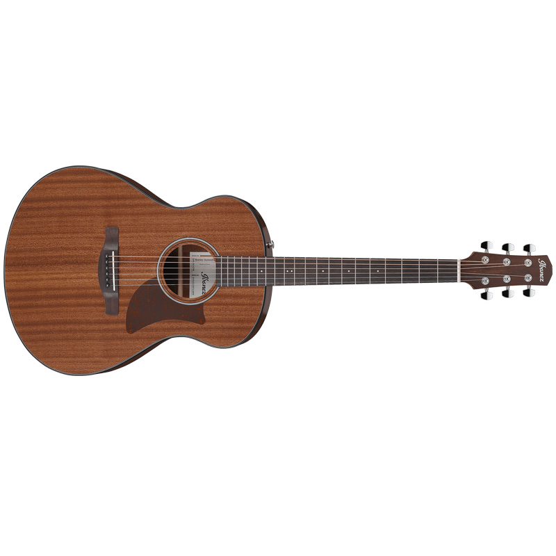 Ibanez AAM54 Advanced Auditorium Pure Acoustic Guitar - Open Pore Natural for sale