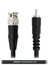 Cable Up BNC-RM-V-6 6 Ft 75 Ohm RCA Male To BNC Video Cable With Silver Contacts Image 1