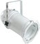 Leviton PAR56-0WH White Par 56 With Yoke & 3 Ft. Cable Image 1