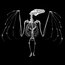 Apollo Design Technology SR-0038 Glass Gobo, Bat Skeleton Image 1