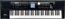 Roland BK-5 Arranger 61-Key Arranger Keyboard Image 1