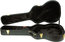 Ibanez AEG10C Hardshell Acoustic Guitar Case For AEG Guitars Image 1