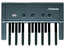 Studiologic MP-113 13 Note MIDI Bass Pedal Board Image 1