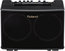 Roland AC-40 Acoustic Amplifier 35W 2-Channel 2x6.5" Stereo Acoustic Guitar Amp With FX Image 1