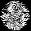 Apollo Design Technology SR-0171 Tiger Skin Glass Gobo Image 1