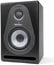 Samson Resolv SE5 MediaOne 5" Active 2-Way Studio Monitor Image 1