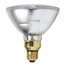 Ushio 70PAR38 70W, 120V Halogen Lamp Image 1