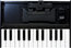 Roland K-25M Boutiques Series Keyboard Unit 25-Key Controller Docking Station Image 2