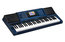 Casio MZ-X500 61-Key Music Arranger Keyboard 330 Rhythms Image 1