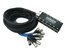 Elite Core PS12030 30' 12-Channel Stage Box Snake With No Returns Image 1