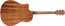 Breedlove DISC-DREAD-CE Discovery Dreadnought CE Acoustic-Cutaway Electric Guitar Image 3