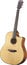 Breedlove DISC-DREAD-CE Discovery Dreadnought CE Acoustic-Cutaway Electric Guitar Image 2