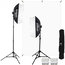 Westcott 484-WESTCOTT D5 2-Light Video Blogging Kit With X-Drop Stand And White Backdrop Image 1