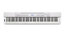 Casio PX350WE 88-Key Digital Piano, White Image 1