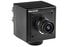 Marshall Electronics CV502-M 2.5MP 3G/HD-SDI Compact Progressive Camera With 3.7mm Lens, M12 Mount Image 1