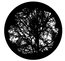 Apollo Design Technology SR-1215 Mature Tree Glass Gobo Image 1