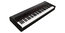 Korg Grandstage 73 73-Key Digital Stage Piano With 7 Sound Engines And RH3 Weighted Hammer Action Image 2