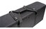 ADJ Tough Bag ISPx2 Semi Hard Case For 2x InNo Spot Pro Or InNo Spot Pro Pearl Fixtures Image 3