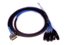 Avid DigiSnake DB25-XLRF Analog Snake Cable - 12'''' 8-Channel DB25 Male To XLR Female , 12' Length Image 1