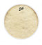 Evans TT16CT 16" '56 Calftone Tom Drumhead Image 1