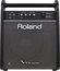 Roland PM-100 80W 2-Channel 1x10" Personal Drum Monitor Image 2